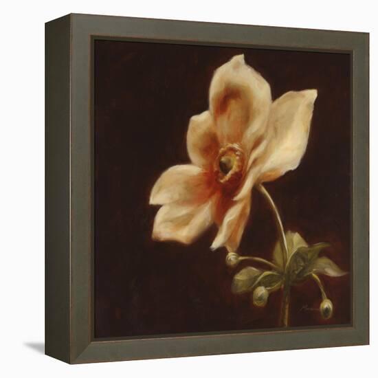 Floral Symposium IV-Julianne Marcoux-Framed Stretched Canvas