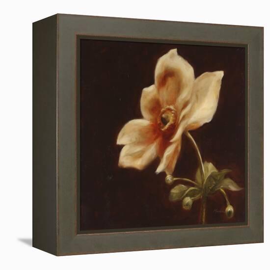 Floral Symposium IV-Julianne Marcoux-Framed Stretched Canvas