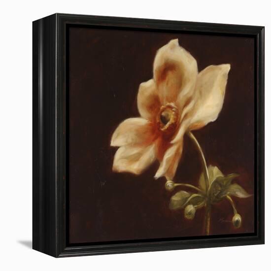 Floral Symposium IV-Julianne Marcoux-Framed Stretched Canvas