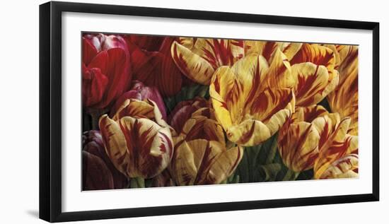 Floral Tapestry-Janel Pahl-Framed Giclee Print