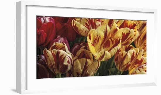 Floral Tapestry-Janel Pahl-Framed Giclee Print