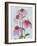 Floral Thrive - Happy-Tania Bello-Framed Giclee Print