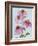 Floral Thrive - Happy-Tania Bello-Framed Giclee Print