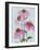 Floral Thrive - Happy-Tania Bello-Framed Giclee Print