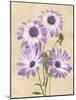 Floral Thrive - Joy-Tania Bello-Mounted Giclee Print