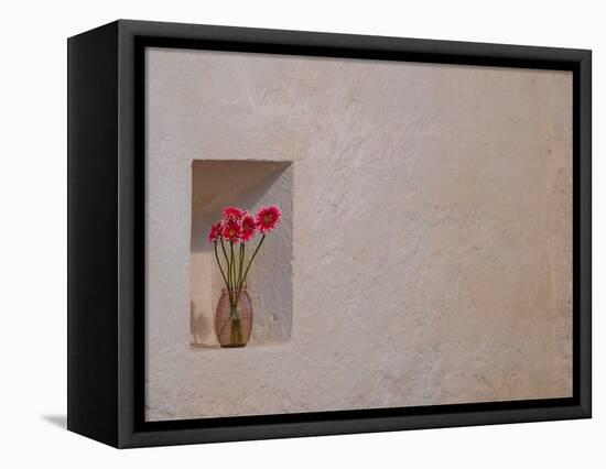 Floral tribute growing a niche in the stone walls of Ballintubber Abbey, County Mayo, Ireland.-Betty Sederquist-Framed Premier Image Canvas