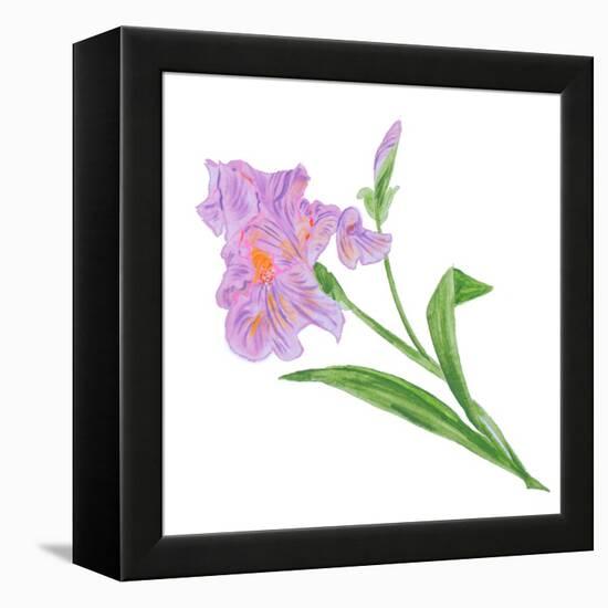 Floral VI-Linda Baliko-Framed Stretched Canvas