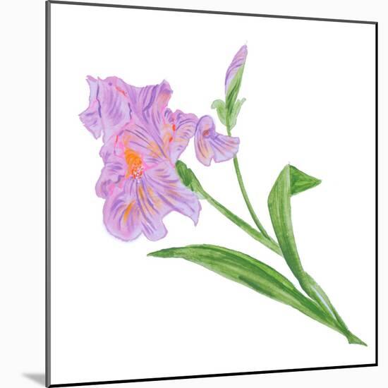 Floral VI-Linda Baliko-Mounted Art Print