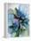 Floral Vibrant 1-Emma Catherine Debs-Framed Stretched Canvas