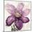 Floral Wash II-Tania Bello-Mounted Giclee Print