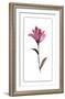 Floral Watercolor II-Kiana Mosley-Framed Limited Edition