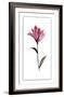 Floral Watercolor II-Kiana Mosley-Framed Limited Edition