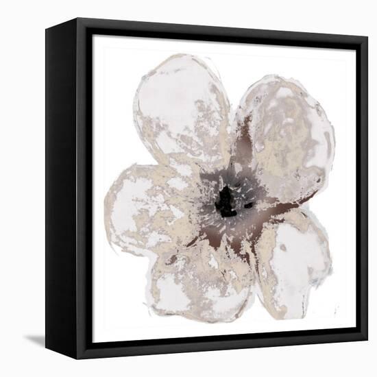 Floral-White 2-Victoria Brown-Framed Stretched Canvas