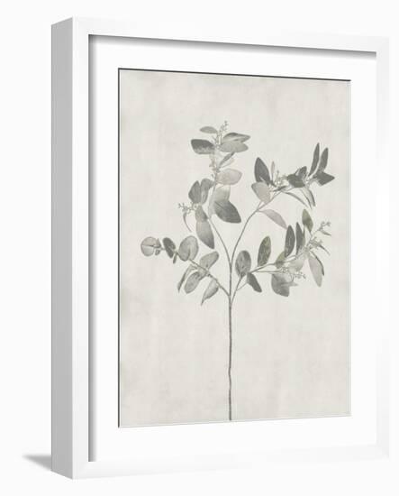 Floral Wild - Eucalyptus-Collezione Botanica-Framed Giclee Print