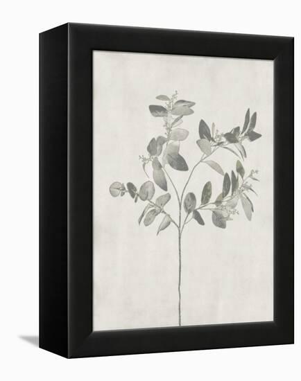 Floral Wild - Eucalyptus-Collezione Botanica-Framed Stretched Canvas