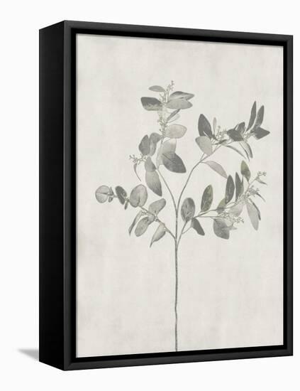 Floral Wild - Eucalyptus-Collezione Botanica-Framed Stretched Canvas