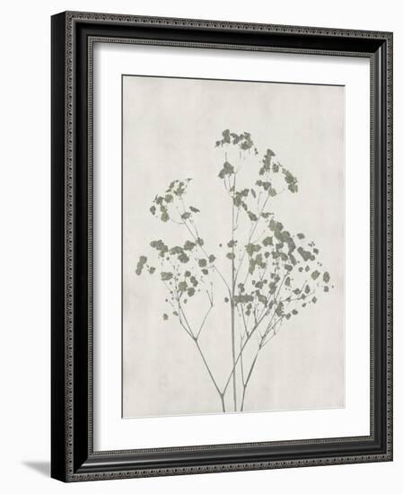 Floral Wild - Gypsophila-Collezione Botanica-Framed Giclee Print