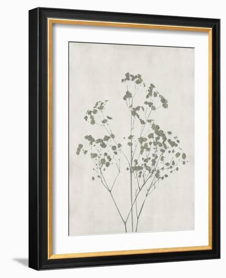 Floral Wild - Gypsophila-Collezione Botanica-Framed Giclee Print