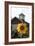 Floral-Jeff Rasche-Framed Photographic Print