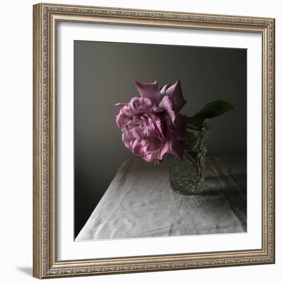 Florals In The Dark-Sarah Gardner-Framed Photo