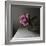 Florals In The Dark-Sarah Gardner-Framed Photo