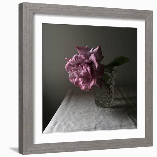 Florals In The Dark-Sarah Gardner-Framed Photo