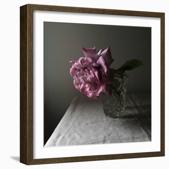 Florals In The Dark-Sarah Gardner-Framed Photo