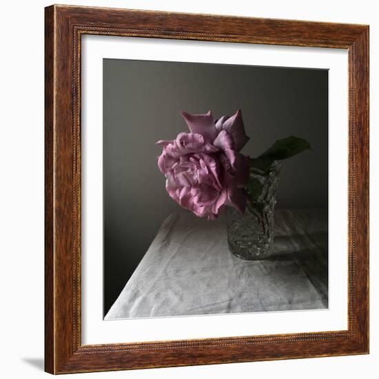 Florals In The Dark-Sarah Gardner-Framed Photo