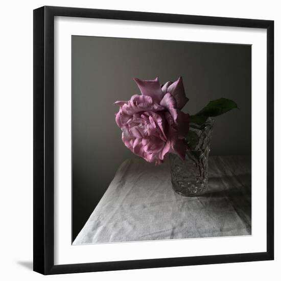 Florals In The Dark-Sarah Gardner-Framed Photo