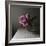 Florals In The Dark-Sarah Gardner-Framed Photo