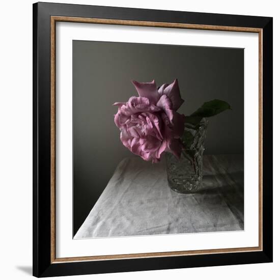 Florals In The Dark-Sarah Gardner-Framed Photo