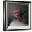 Florals In The Dark-Sarah Gardner-Framed Photo