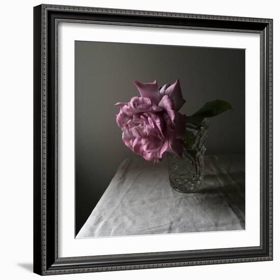 Florals In The Dark-Sarah Gardner-Framed Photo