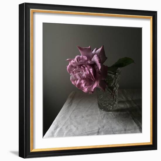 Florals In The Dark-Sarah Gardner-Framed Photo