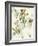 Floratopia - Leafy-Kristine Hegre-Framed Giclee Print