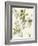 Floratopia - Leafy-Kristine Hegre-Framed Giclee Print