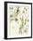 Floratopia - Spring-Kristine Hegre-Framed Giclee Print