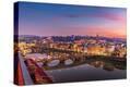 Stretched Canvas Print