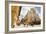 Florence, Italy-Ian Shive-Framed Photographic Print