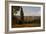 Florence, Seen from the Boboli-Gardens-Jean-Baptiste-Camille Corot-Framed Giclee Print