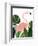 Florence The Flamingo-Emily Kopcik-Framed Art Print