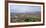 Florence, Tuscany, Italy, Europe-Hans-Peter Merten-Framed Photographic Print