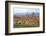 Florence, UNESCO World Heritage Site, Tuscany, Italy, Europe-Hans-Peter Merten-Framed Photographic Print