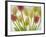 Flores Congeladas-Moises Levy-Framed Photographic Print