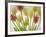 Flores Congeladas-Moises Levy-Framed Photographic Print