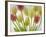 Flores Congeladas-Moises Levy-Framed Photographic Print