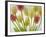 Flores Congeladas-Moises Levy-Framed Photographic Print