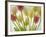 Flores Congeladas-Moises Levy-Framed Photographic Print