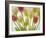 Flores Congeladas-Moises Levy-Framed Photographic Print