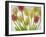 Flores Congeladas-Moises Levy-Framed Photographic Print